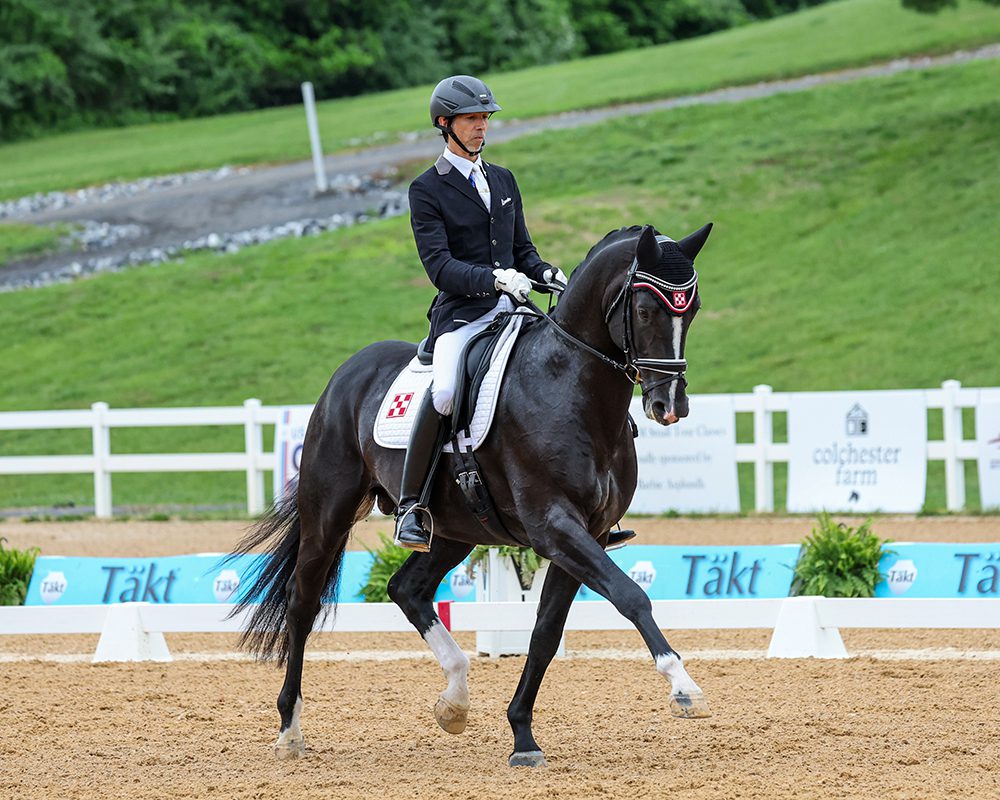 Denmark_Susan-J-Stickle