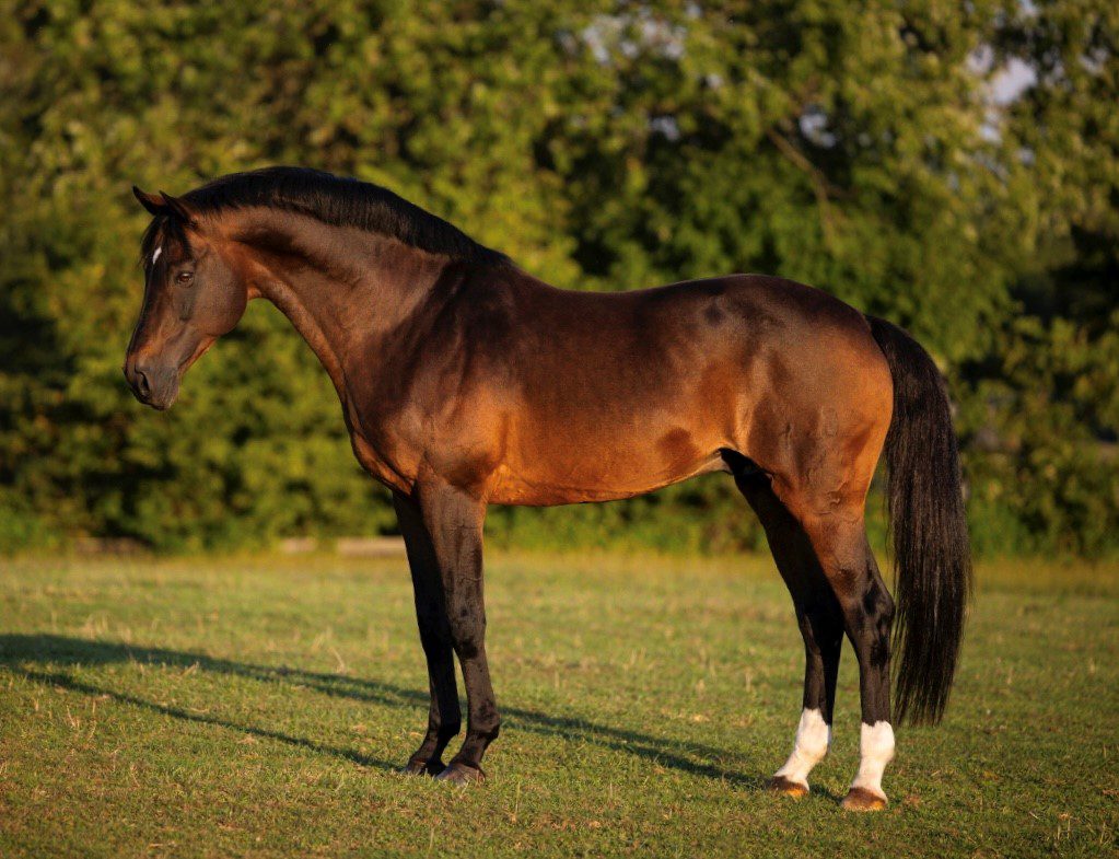 __Orbetello - Credit Taylor Pence