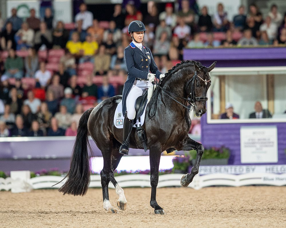 Salvino_Shannon-Brinkman