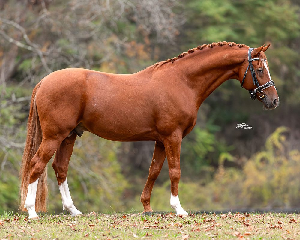 Branley-Ash-Nautilus_Bethany P Photography