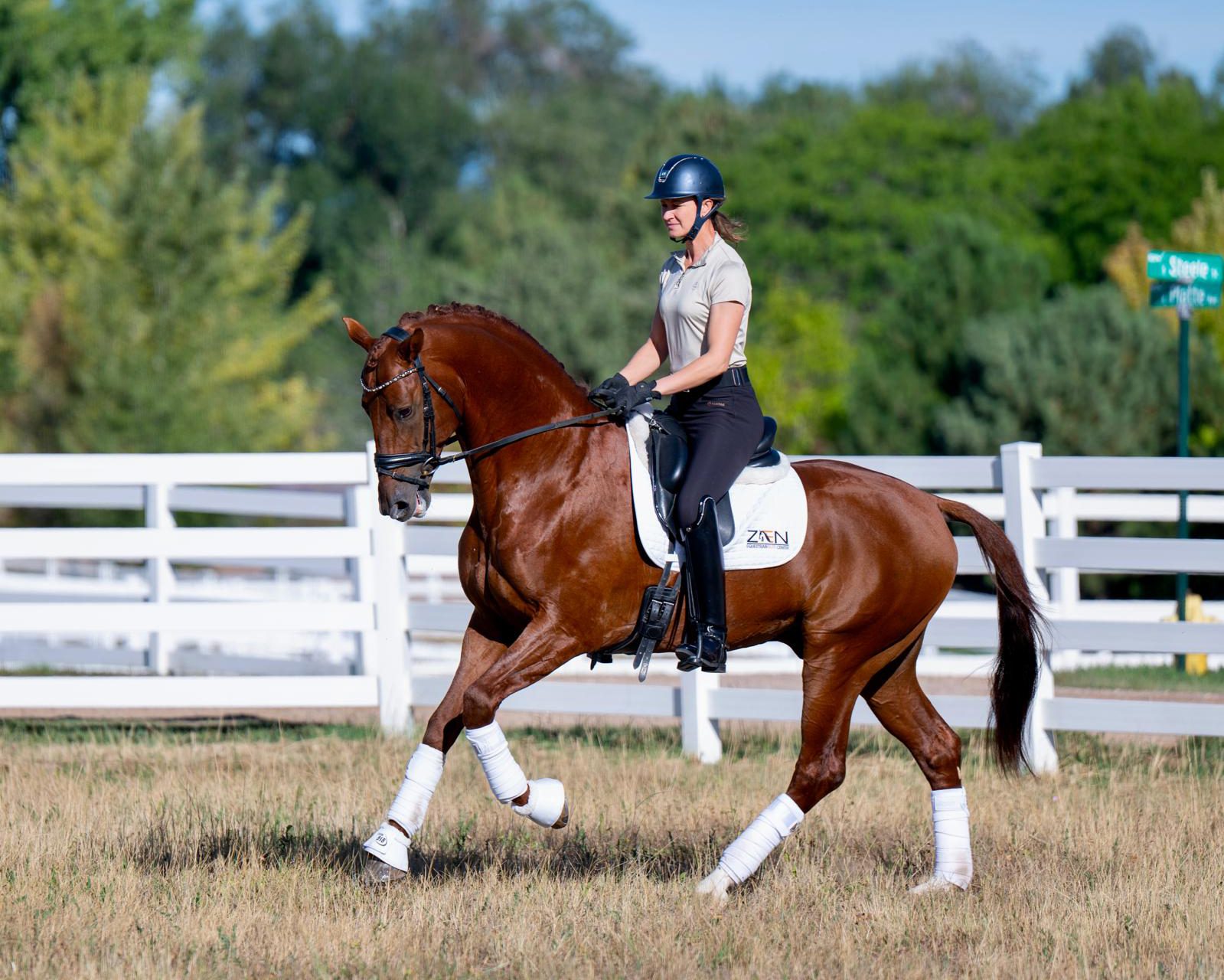 My Vitality_Courtesy Zen Elite Equestrian Center