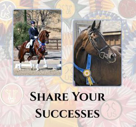 Share Your Successes Tile