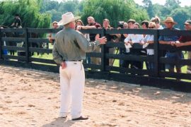 What is the American Hanoverian Society?