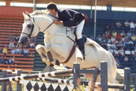 Current JBP Stallion Listing