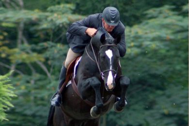 Black Tie (Baroncelli-SPS Regina/Raphael)