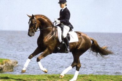 Dacaprio (Davignon-Carry/Caprimond)