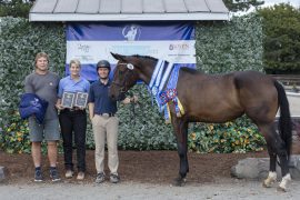 2021 AHS Sport Horse Breeding Awards Winners