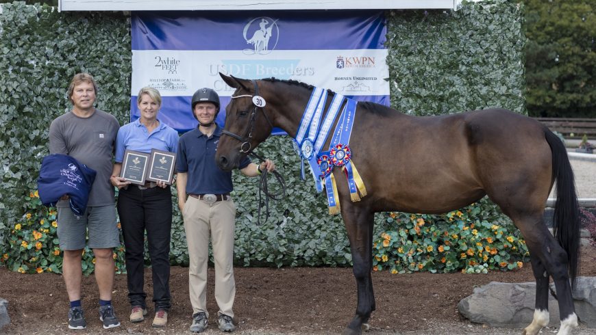 2022 AHS Sport Horse Breeding Awards Winners