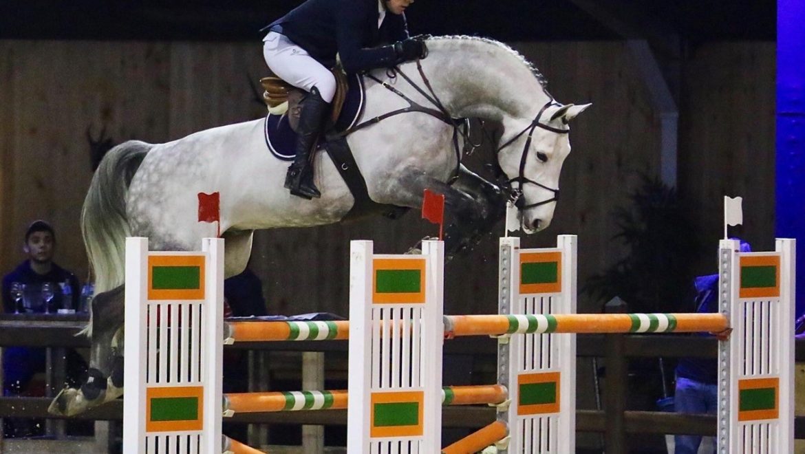 Jaguar Van Paemel (Cicero Van Paemel Z x Sissi/Sandro)