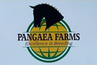 Pangaea Farms logo