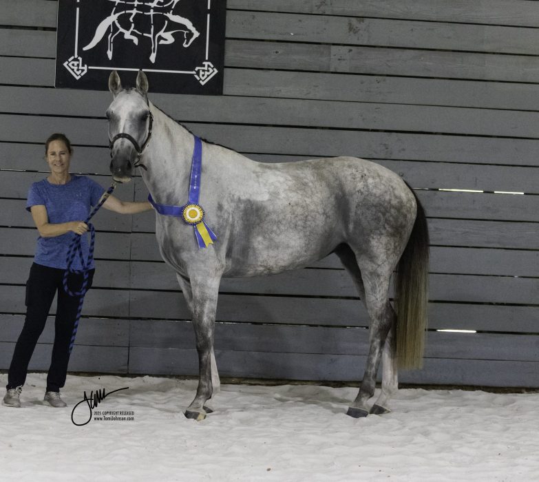 Valenza MPT Winner CF25-602