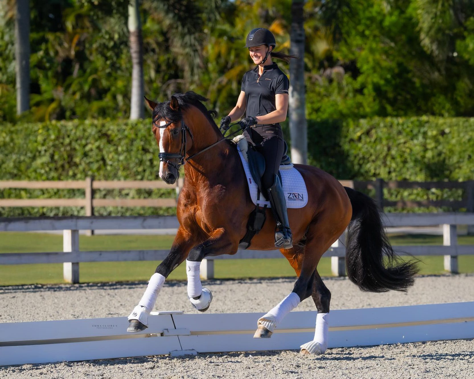 Zaunkonig_Courtesy Zen Elite Equestrian Center